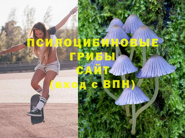 эйфоретик Пестово
